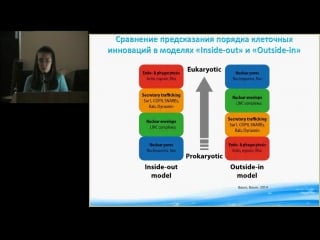 Дина малькеева «вначале было ядро происхождение эукариот»