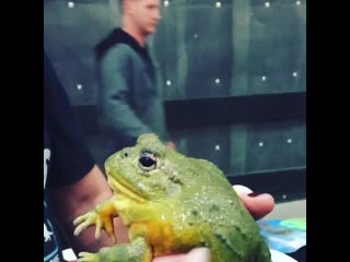 Michelle pedersen via instagram