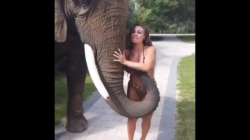 Слон проверяет на допинг