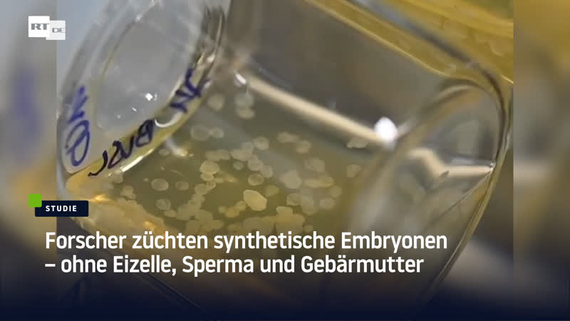 Gentechnik forscher züchten embryonen ohne eizelle, sperma und gebärmutter
