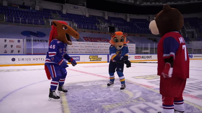 Талисманы клубов на parimatch sochi hockey open