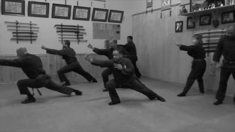 Bujinkan tasmania kihon no kiso