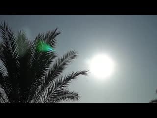 Natural mindful lara barut collection