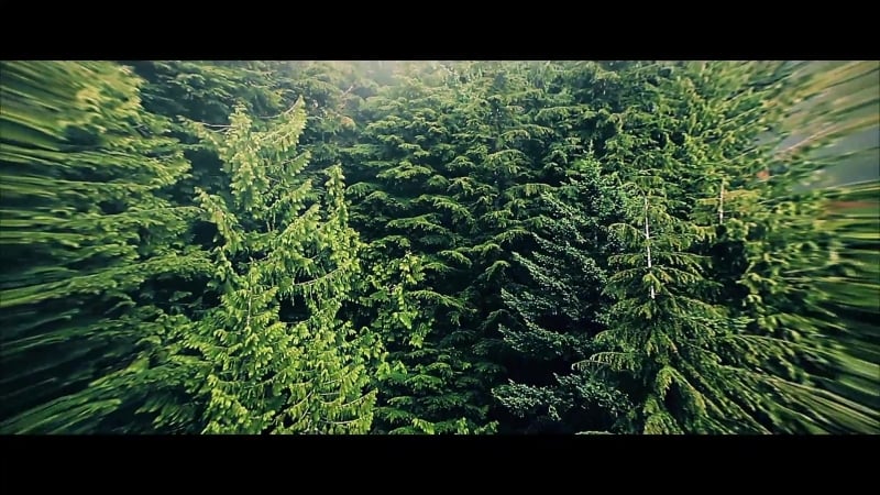 Polina mauer ворожу