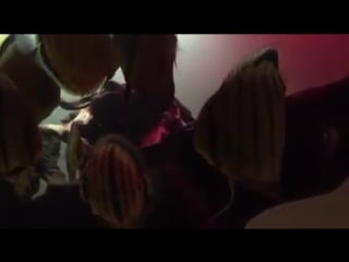 Wild discus ricky lim