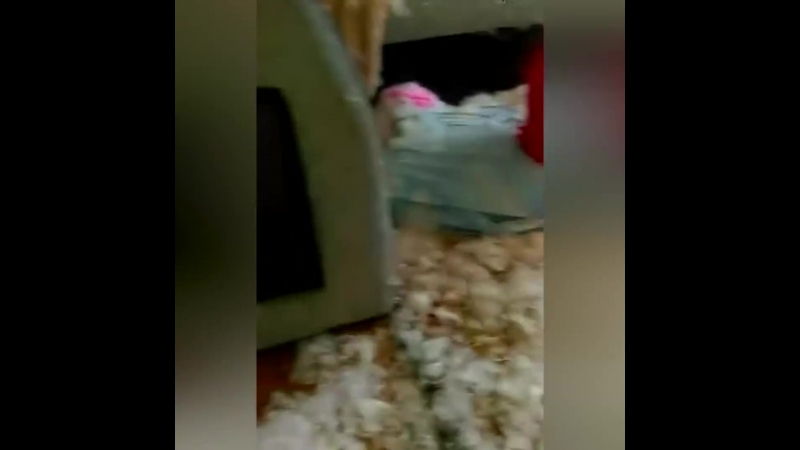 Я все папе расскажу 😂😂