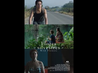 Полевые цветы flores silvestres wild flowers (2015) мексика