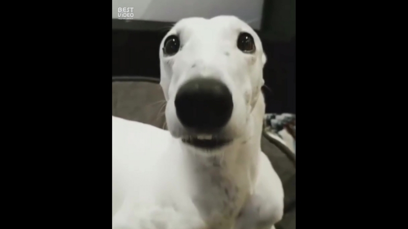 Кончилось тепло