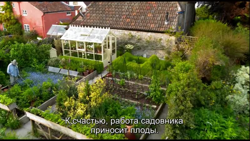 Хомяки porn video – Хомяки
