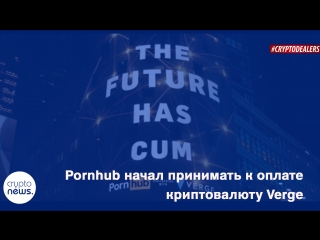 Pornhub начал принимать к оплате криптовалюту verge