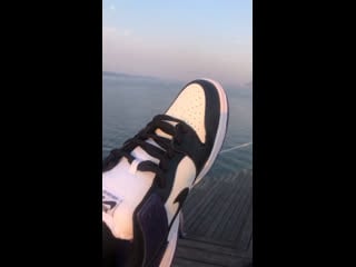 Nike sb dunk low pro purple