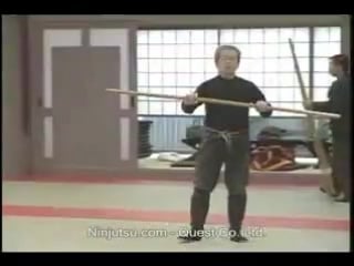 Hatsumi bujinkan daikomyosai 1993