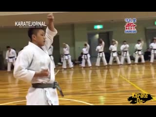 Ryo kiyuna sensei (jkf technical seminar)