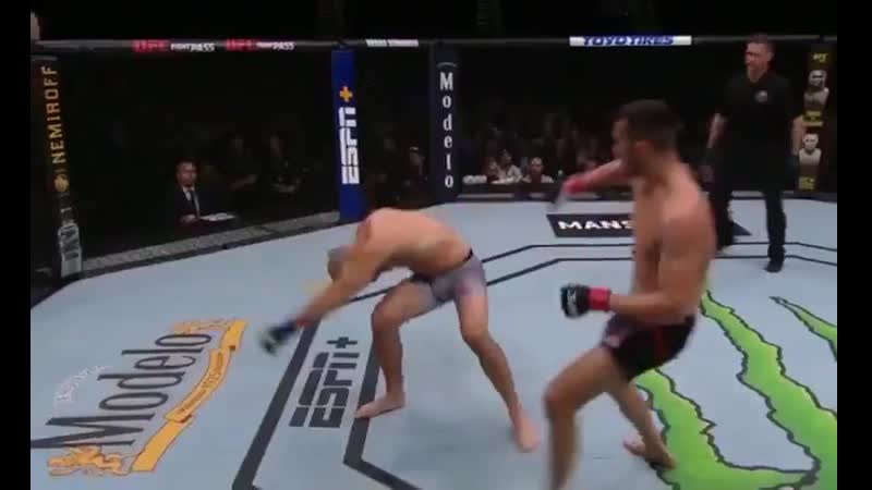 Махмуд мурадов нокаутирует тревора смита