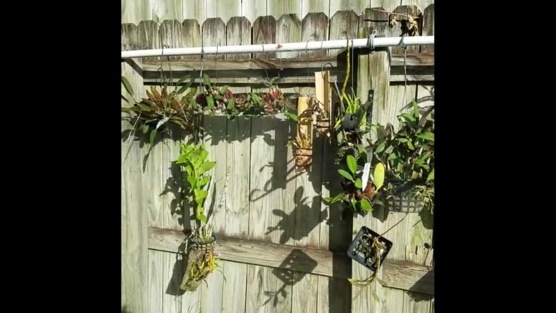 Подвес полив, классная задумка!