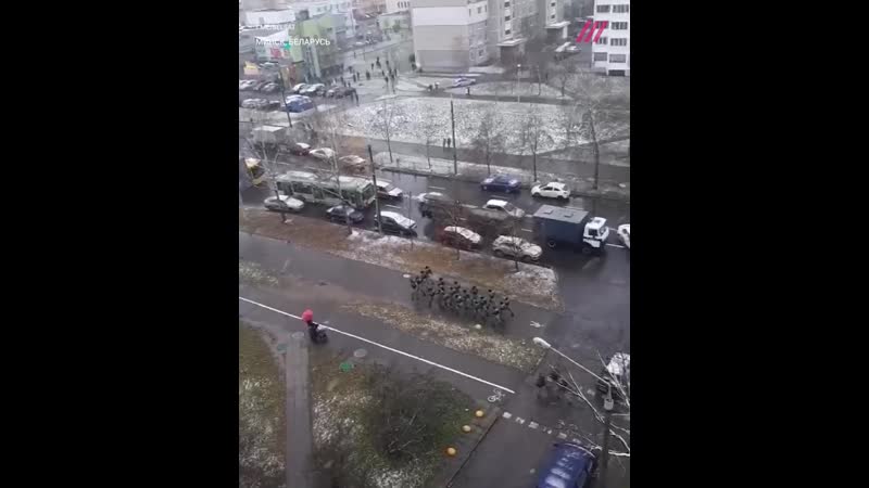 Как в беларуси проходил «марш соседей» 29 ноября