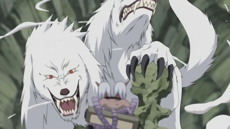 Киба и канкуро против сакона и укона