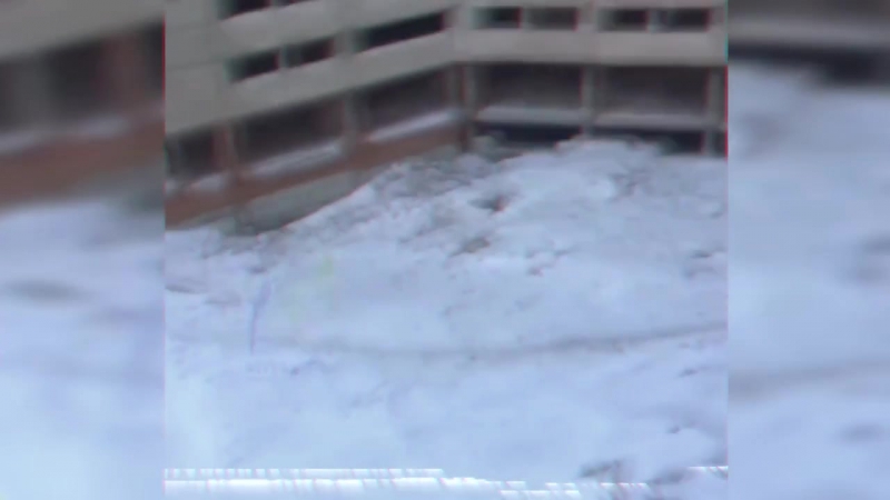 Говорила мама учи математику