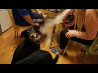 Любительница кальяна