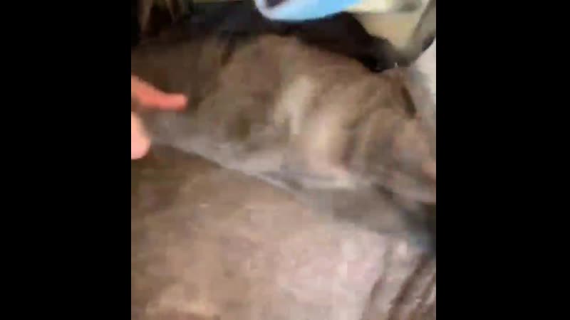 Побрили бродягу