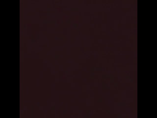 August 23 video of justin with chris brown