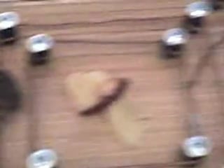 Ловушка для крыс и мышей