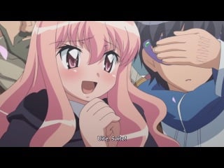 [a nolimit & akagi] zero no tsukaima futatsuki no kishi 01 [720][rosub]