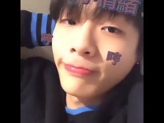 Vasco 228 & cream cod what happened?