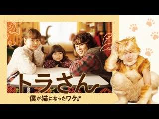 Тора сан(2019) tora san (tiger my life as a cat)