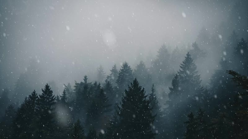 Снегопад в лесу / snowfall in forest