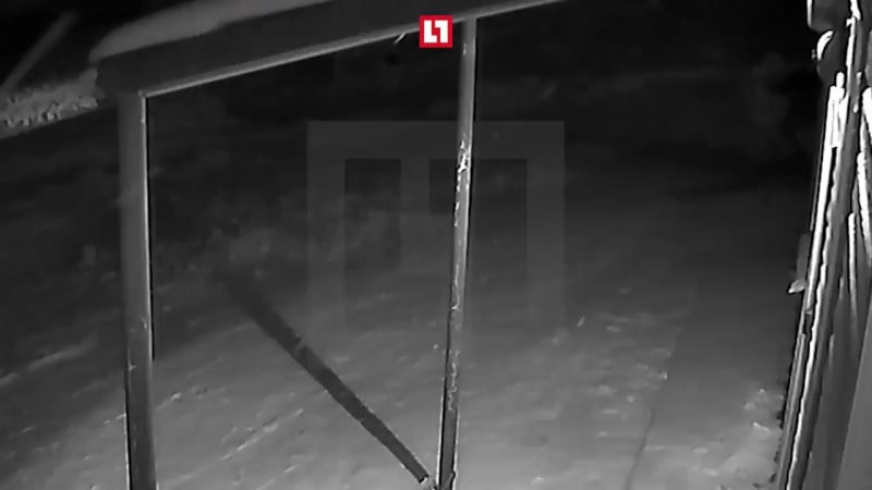 18+ жесть погибший под пензой ребёнок пытался убежать от своего убийцы