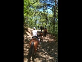 Video 20200531 133256 mp4