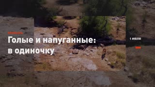 «Голые и напуганные XL», новый сезон | Discovery — Video | VK