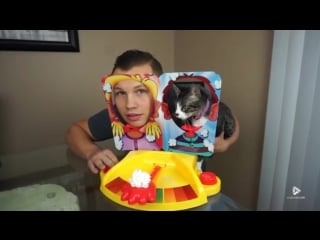 Getting back at your cat for having been an asshole