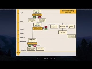 Познавательное видео от phoenix group грядущий форк сети биткоин