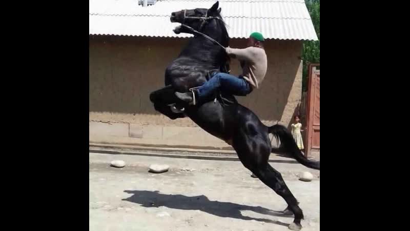 Салават һәм шәп айғыр 🐴🐴🐴