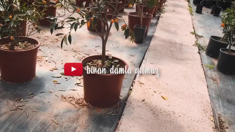 Biran damla yılmaz | çiftlikte 1 gün🌱