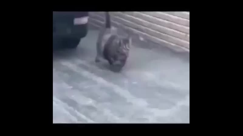 Редко, но метко