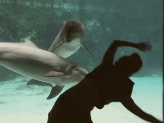 Girl makes dolphin laugh (extended)