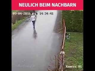 Neulich beim nachbarn!