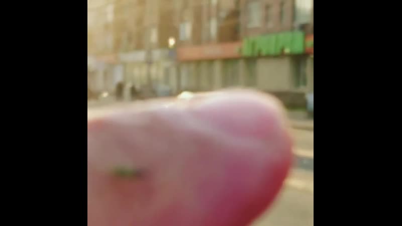 В красноярске пиздос, на город налетели полчища мошек, которые облепили всё вокруг