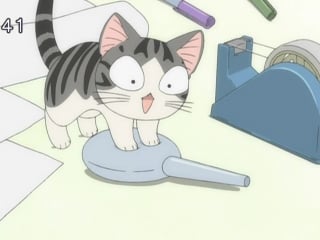 Chis sweet home [16 of 104] ancord