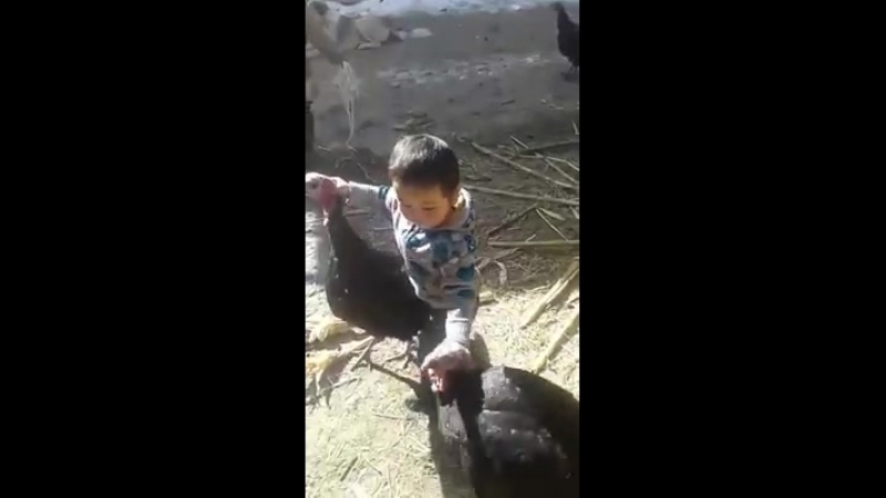 Молодой рефери