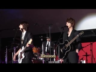 101008 cnblue love @ piff party 2