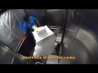 Пранк пчёлы