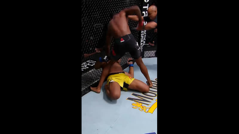 Видео от ufc &amp; mma