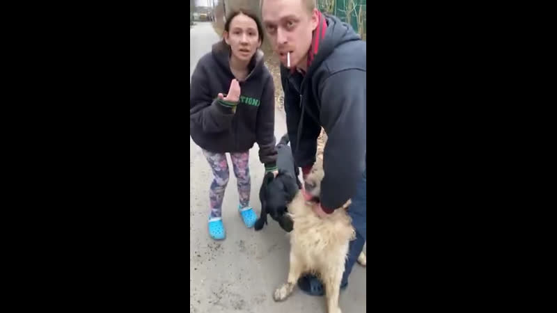 Гуф натравил свою молодые и устроил собачьи бои