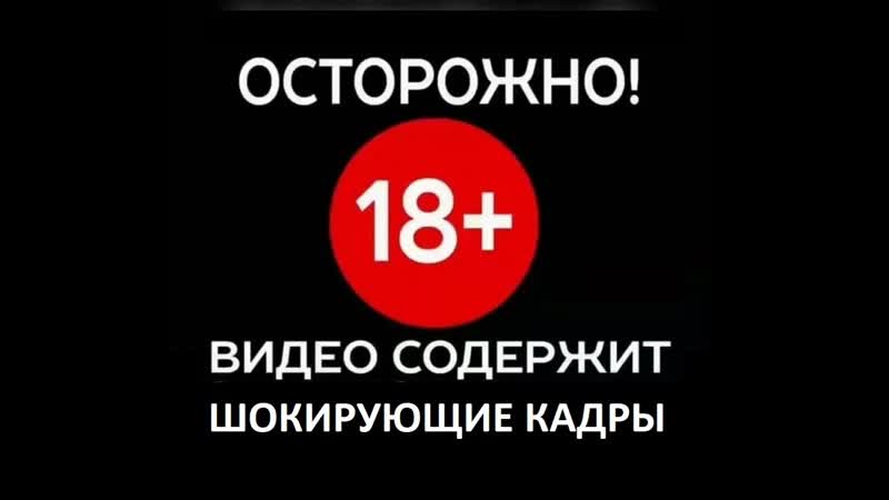 Бедной молодые секс живодер, брызгает из перцового балончика