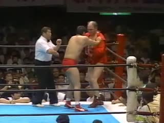 Njpw battle satellite 1989 in osaka