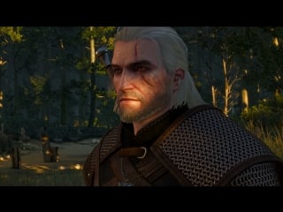 Witcher 3 wild hunt goty edition